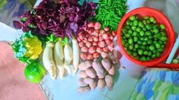 এক কেজি মরিচ ৩২০ টাকা! বকশীগঞ্জে নিত্যপণ্যের দামে হাহাকার