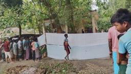 নীলফামারীর কিশোরগঞ্জে সাপের ছোবলে শিশু ও যুবকের মৃত্যু