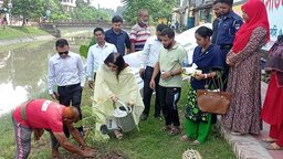 সাতক্ষীরায় প্রাণসায়ের খালের দুই পাশে বৃক্ষরোপণ কর্মসূচির উদ্বোধন