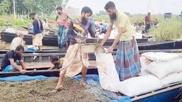 তাড়াশে অবাধে চলছে শামুক-ঝিনুক নিধন, হুমকির মুখে জীববৈচিত্র্য