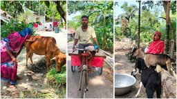 ১৬ হাজার ৬৫০ জেলে পরিবারে বিকল্প আয়ের ব্যবস্থায় বাড়ছে মাছের উৎপাদন