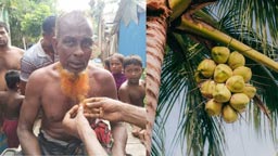 পাইকগাছায় ডাব পেড়ে খাওয়ায় বৃদ্ধকে বিদ্যুৎ'র খুঁটিতে বেঁধে মারপিট