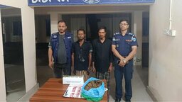 চাটখিলে এক কেজি গাঁজাসহ দুই মাদক ব্যবসায়ী গ্রেফতার