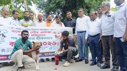 বাকেরগঞ্জে জলাতঙ্ক প্রতিরোধে পথ কুকুরদের টিকাদান কর্মসূচি শুরু