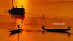 ঝালকাঠির সকল নদীতে মধ্যরাত থেকে মাছ ধরার নিষেধাজ্ঞা শুরু