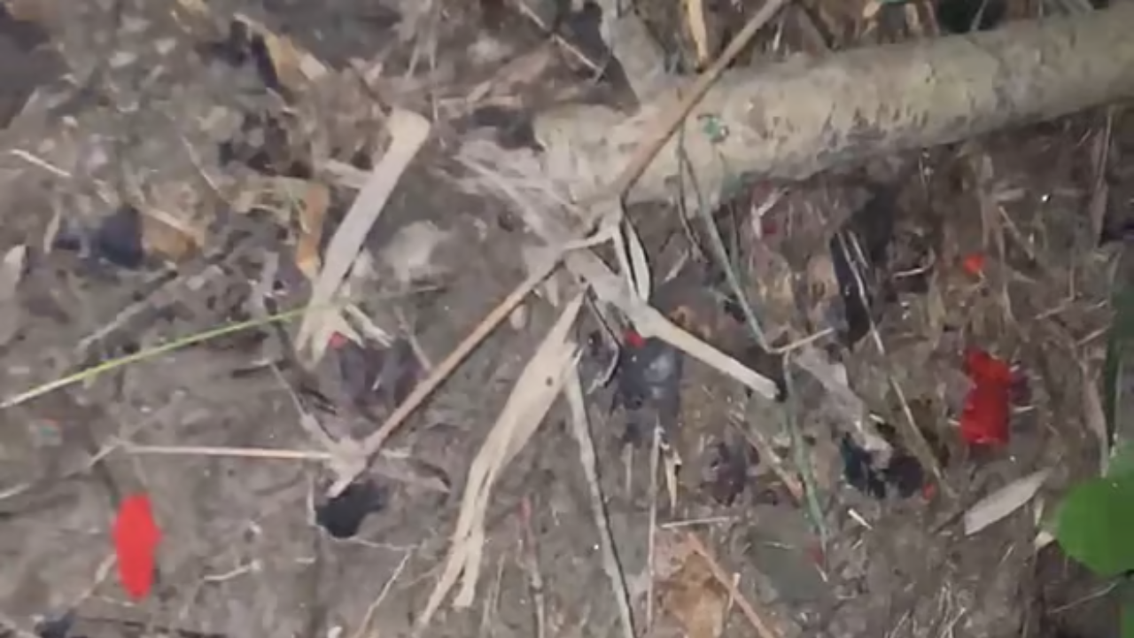 বিলাসপুরে আবারও ককটেল বিস্ফোরণ, উড়ে গেল সেপটিক ট্যাংকের অংশ