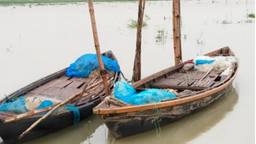 অবৈধ জালে অস্তিত্ব সংকটে দেশীয় প্রজাতির মাছ