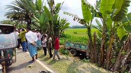 রাজাপুরে ইটবোঝাই ট্রলি খাদে পড়ে হেলপার নিহত