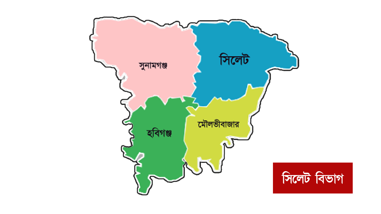 সিলেট বিভাগে ধানের শীষের ঝড়: ১৯টির মধ্যে ১৮ আসনেই বিএনপির জয়