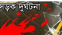 ফরিদপুরের বোয়ালমারীতে ‌সড়ক দুর্ঘটনায় ৮ বছর শিশুর মৃত্যু