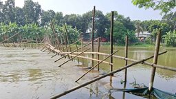 কাশিয়ানীতে খালে ‘বাঁশের বেড়া’ দিয়ে মাছ শিকারের অভিযোগ