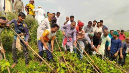 কোটালীপাড়ায় নিজ হাতে খালের কচুরিপানা পরিষ্কার করলেন এমপি এস এম জিলানী
