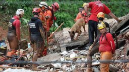 ব্রাজিলে ভয়াবহ বন্যা ও ভূমিধসে ২৩ জনের মৃত্যু, নিখোঁজ ৪০