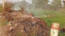 কোটালিপাড়া পৌরসভার বর্জ্যে ক্ষতিগ্রস্ত মৎস অভয়াশ্রম