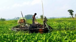 কাশিয়ানীতে অবৈধ ড্রেজারে বালু উত্তোলন, হুমকিতে কৃষিজমি ও সড়ক
