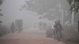 উত্তরের হিমেল হাওয়ায় কাঁপছে নীলফামারী, দিনের আলোতেও জ্বলছে হেডলাইট