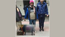 শিবচরে চলন্ত ট্রাকে দুর্ধর্ষ ডাকাতি, গরু ও ট্রাকসহ দুই ডাকাত গ্রেপ্তার