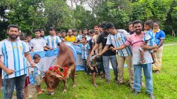 কোটালীপাড়ায় বিশ্বকাপ ফাইনাল উপলক্ষ্যে গরু জবাই করে ভূরিভোজের আয়োজন