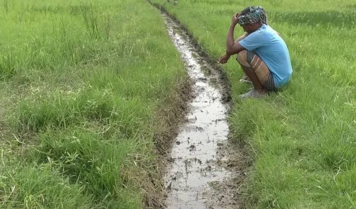 গোপালগঞ্জে জ্বালানি তেলের সংকটে জমিতে সেচ বন্ধ হওয়ার আশংকা