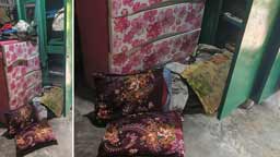 রায়পুরে প্রবাসীর বাড়িতে দুঃসাহসিক ডাকাতি, ২০ লাখ টাকার মালামাল লুট