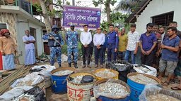 ঝালকাঠির নলছিটিতে ৪২ মণ জাটকা জব্দ