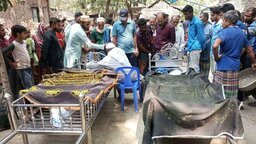 সাতক্ষীরায় ছোট ভাইয়ের মৃত্যুর খবরে বড় ভাইয়ের মৃত্যু