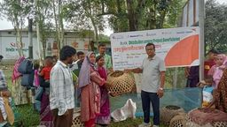 ওয়ার্ল্ড ভিশন ঠাকুরগাঁও রিয়্যাক্টস ইন প্রকল্পের আওতায় সুবিধাভোগীদের মাঝে হাসঁ বিতরণ।।