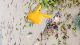 হাওর থেকে মানসিক ভারসাম্যহীন যুবকের মরদেহ উদ্ধার