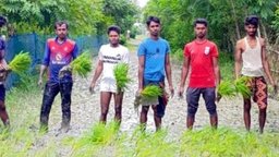 শ্যামনগরে রাস্তা সংস্কার না হওয়ায় ধান রোপন করে প্রতিবাদ