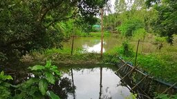 কোটালীপাড়ায় অভিযানের পরেও দখলমুক্ত হয়নি কুশলা-রাধাগঞ্জ খাল