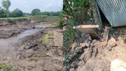 ড্রেজার দিয়ে মাটি কাটায় বসতভিটা ধসে পুকুরে