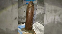 সাতক্ষীরায় সীমানা পিলারসহ আটক ৪